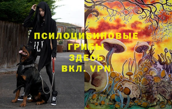 метадон Майский