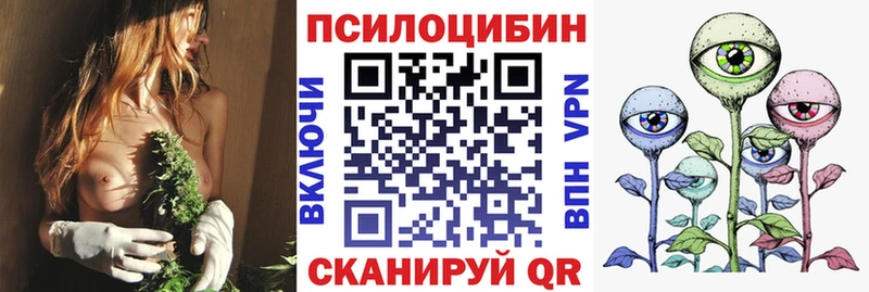 Галлюциногенные грибы GOLDEN TEACHER  где купить   Магадан 