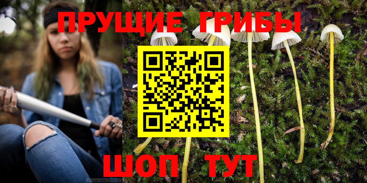 Псилоцибиновые грибы мухоморы Магадан