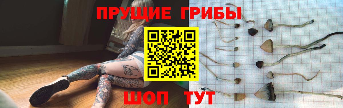 Псилоцибиновые грибы прущие грибы Магадан